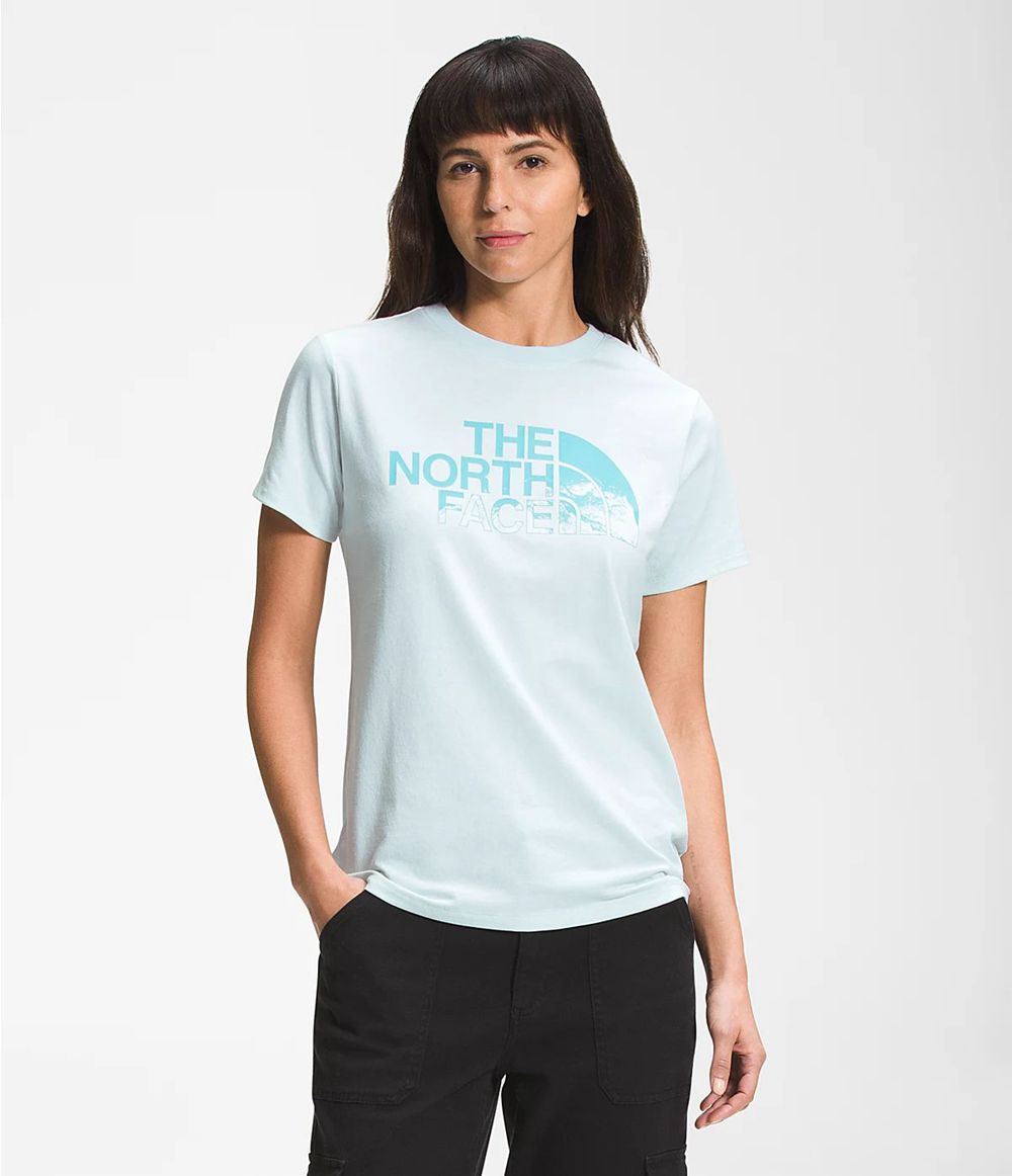 The North Face Kurzer Ärmel Logo Play T-Shirts Damen - Blau CH-564OQRK